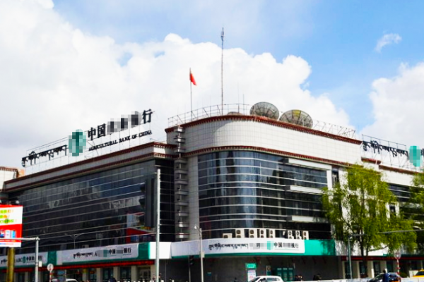 中國農業某行西藏某分行